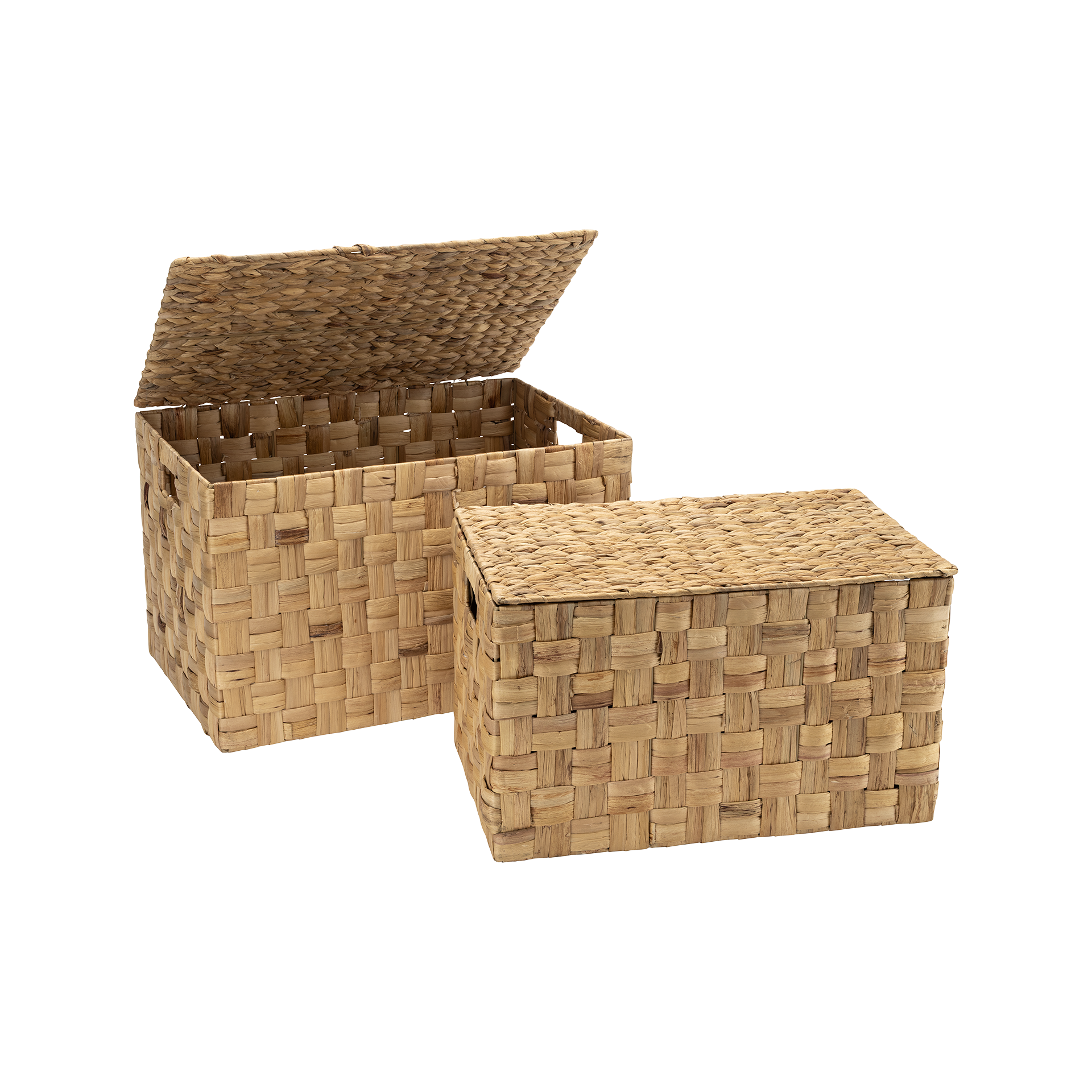 Trunk w lid Lily natural S/2